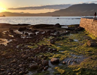 Rocks at low tide