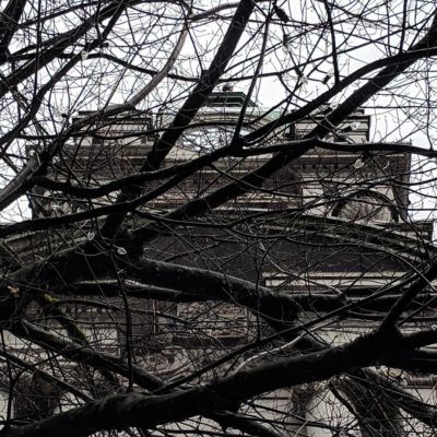 Bare branches and grey building