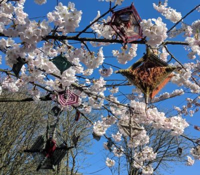 White blossoms and weird decorations