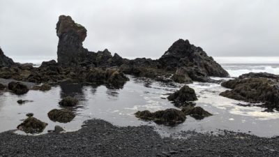 rocky tide pool