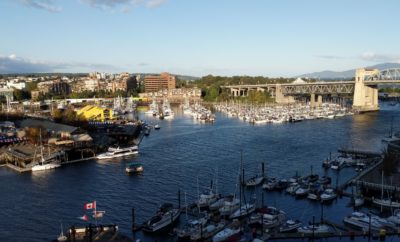 False Creek in partial shade