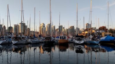 Marina boats in the sunset