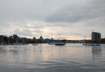 False Creek evening light