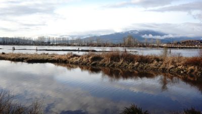 Pitt River banks