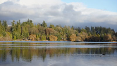 Lost Lagoon