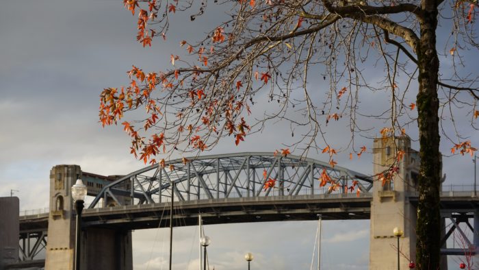 Burrard Bridge, leaves