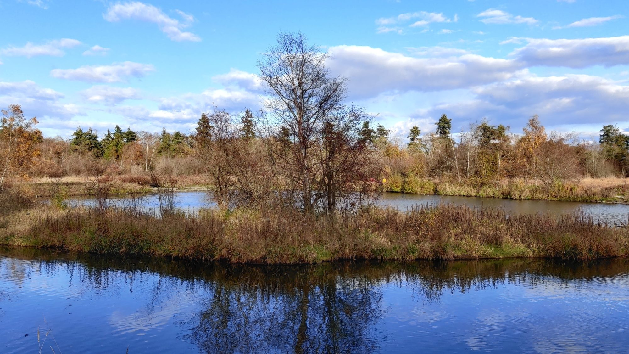 Many ponds