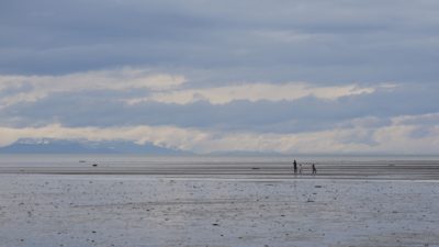 People at low tide