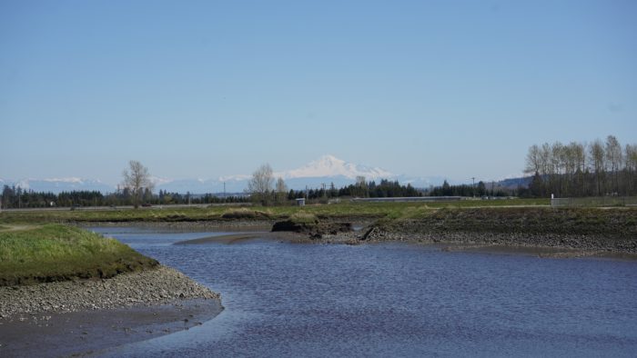 Serpentine river