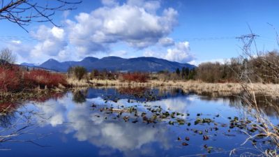 reflected clouds