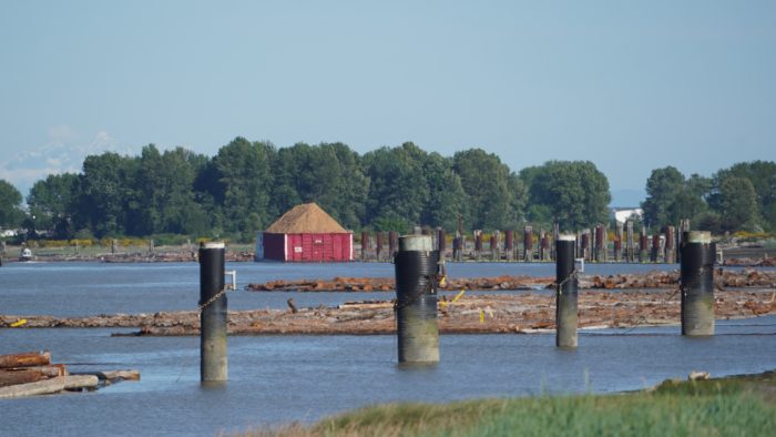 Pilings and barge