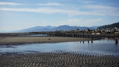 Jetty and rippled sand