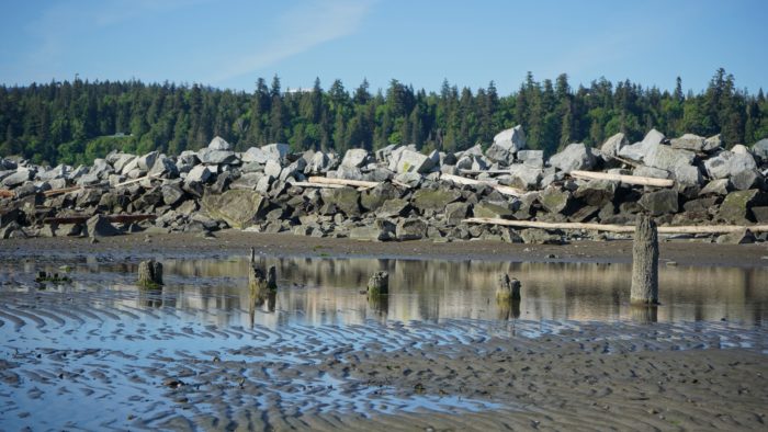 Jetty and reflection