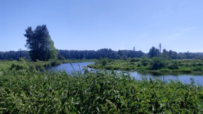 Colony Farm scenery