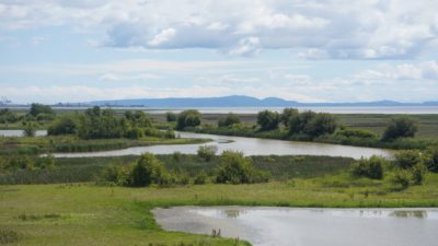 View from the observation tower