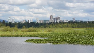 Burnaby Lake view