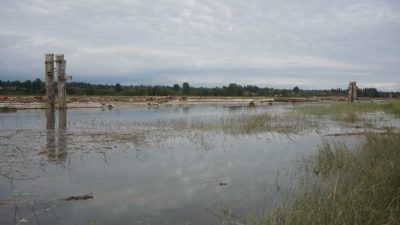 Fraser River shallows