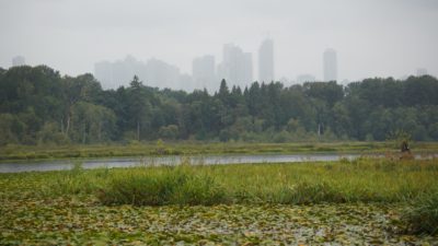 Burnaby Lake and skyline