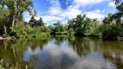 Small pond