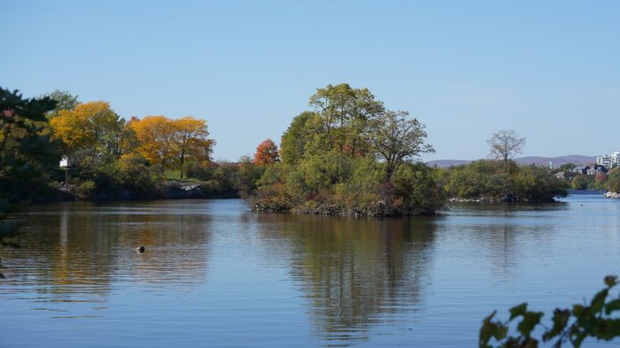 Islands in the river