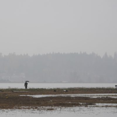 Walking on the spit in the rain