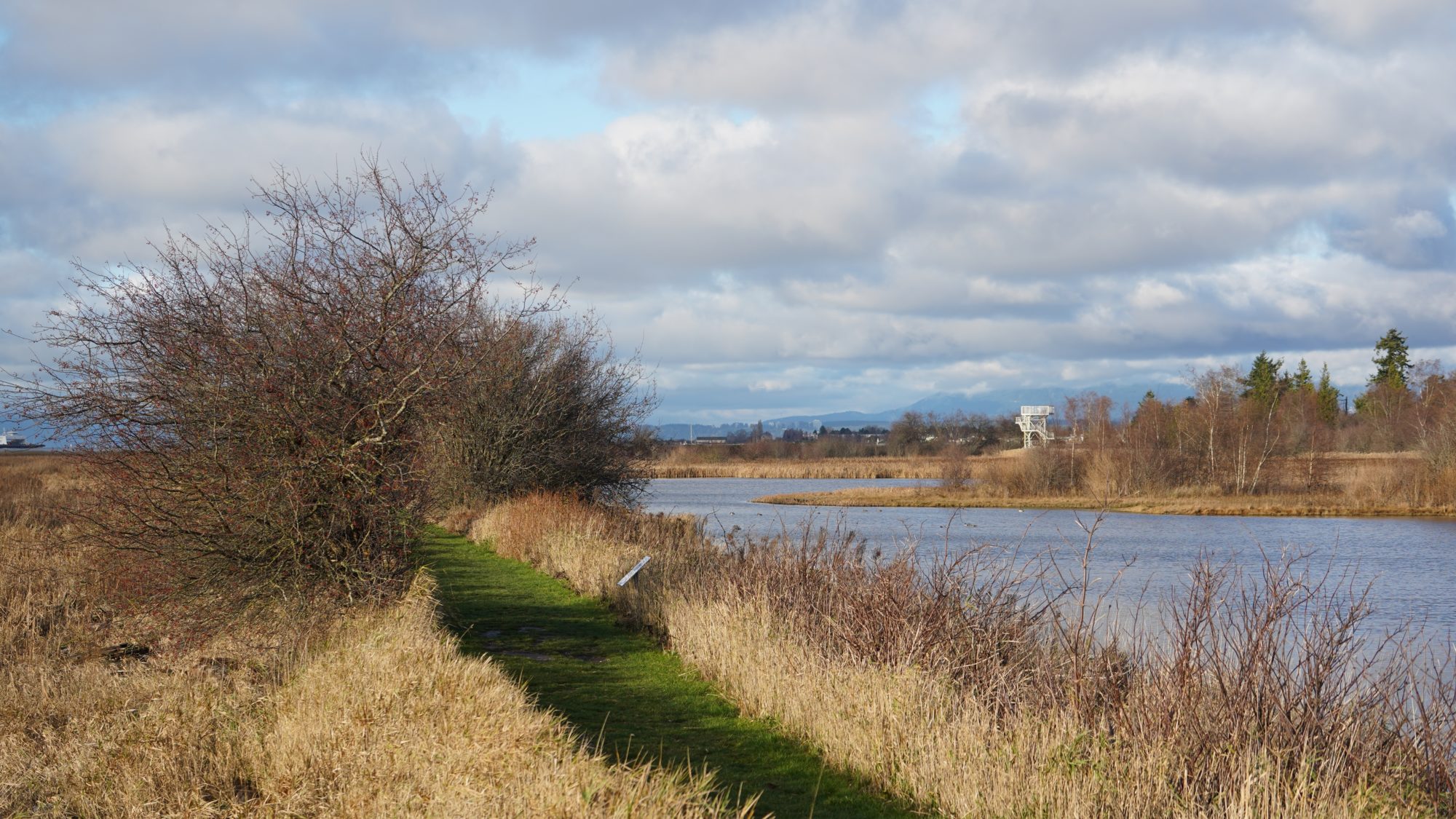 Brown dike and ponds