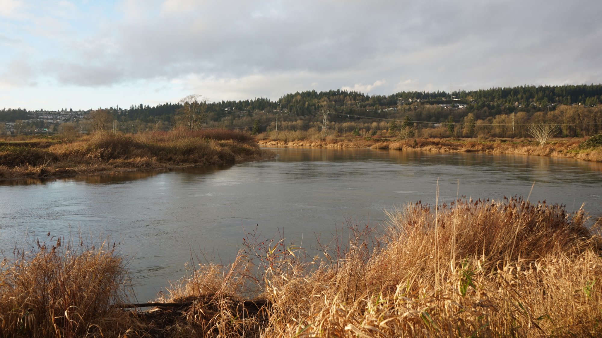 Coquitlam River