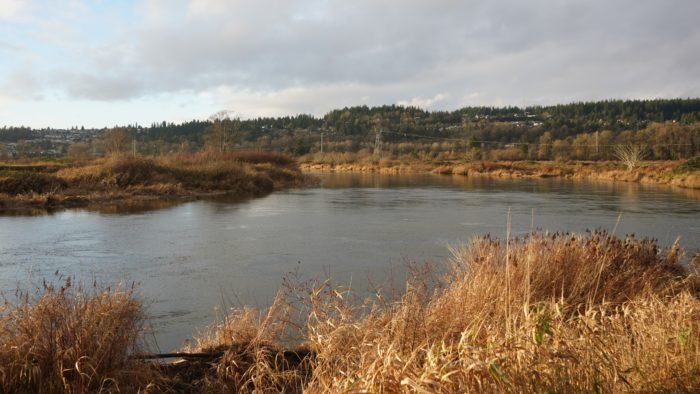 Coquitlam River