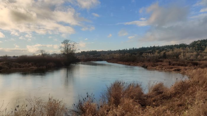 Coquitlam River bend