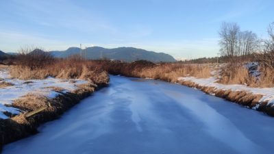 Frozen creek