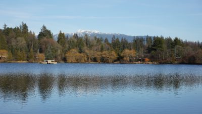 Lost Lagoon