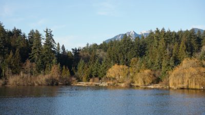 Lost Lagoon