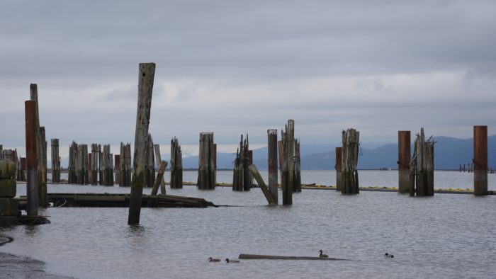 Pilings