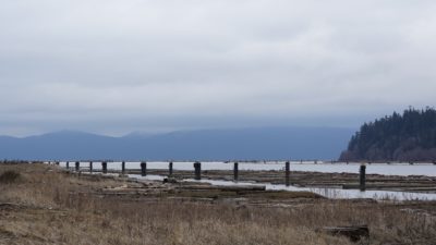 The end of the jetty