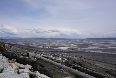 Boundary Bay