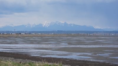 Boundary Bay