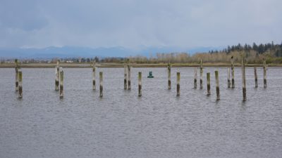 Pilings