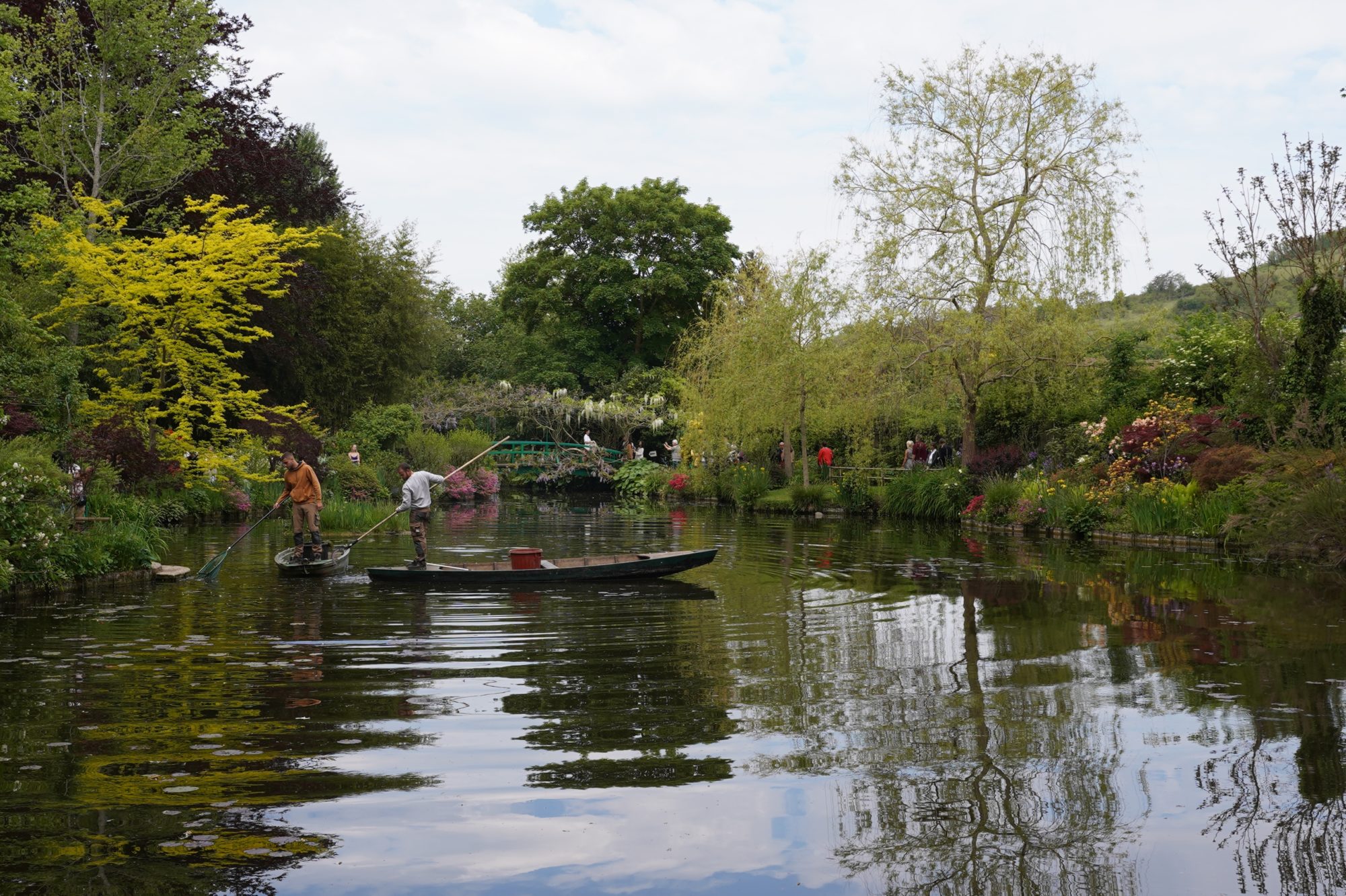 Dredging the pond