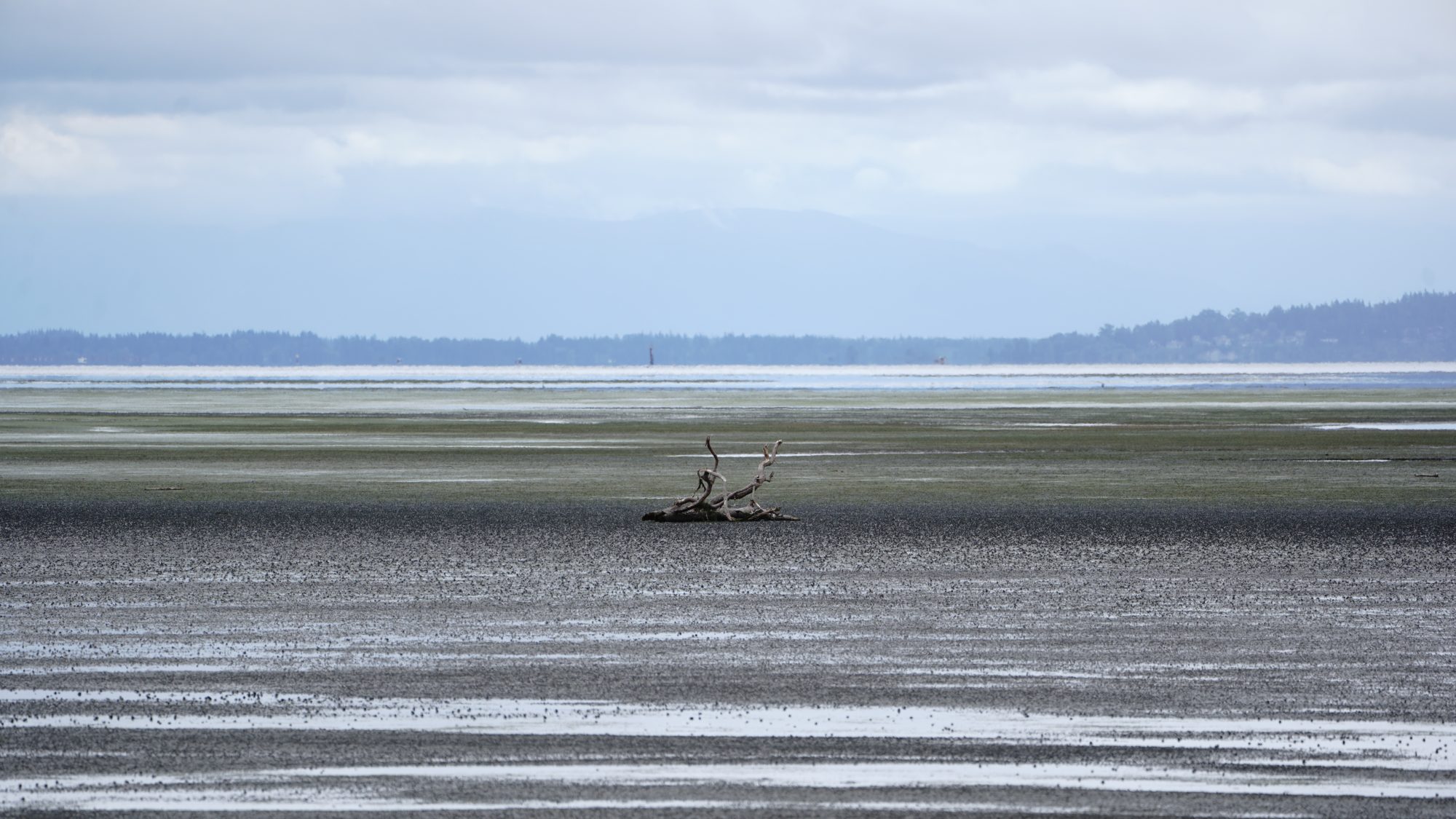 Boundary Bay