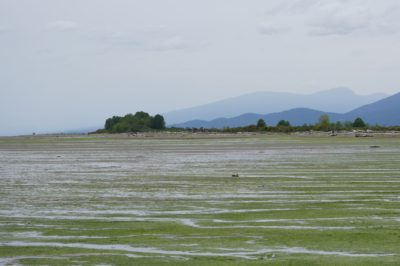 Green Iona Beach