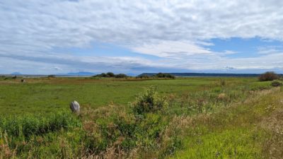 Boundary Bay scenery