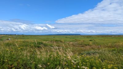 Boundary Bay scenery