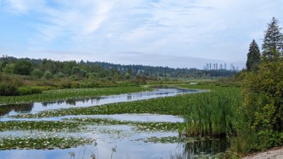 Burnaby Lake