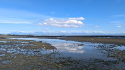 Boundary Bay