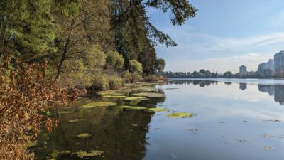 Lost Lagoon