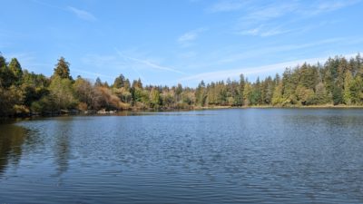 Lost Lagoon