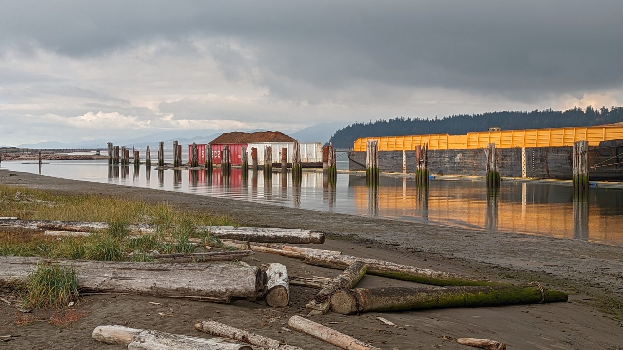 Barges and pilings