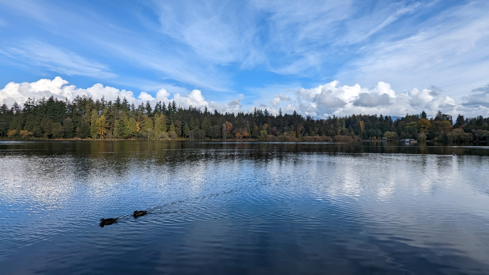 Lost Lagoon