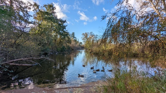 Reifel Pond