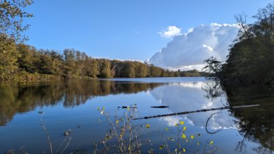 Reifel Slough